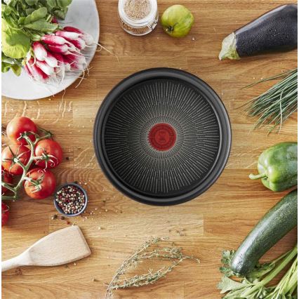 Tefal - Panna INGENIO Unlimited 24 cm
