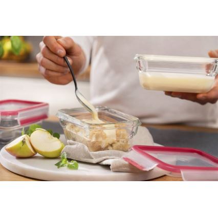 Tefal - Pārtikas trauks 0,45 l MSEAL GLASS sarkans/stikls