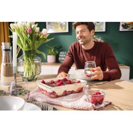 Tefal - Pārtikas uzglabāšanas trauks 3 l MSEAL GLASS sarkans/stikls
