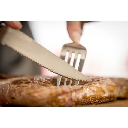 Tefal - Nerūsējošā tērauda steiku nažu komplekts ICE FORCE 11 cm spīdīgs hroms/melns 4 gab.