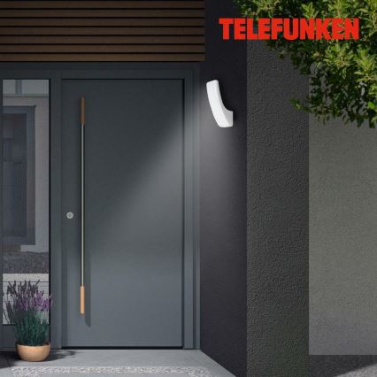 Telefunken 311604TF - LED Āra sienas lampa LED/15W/230V IP44 sudraba