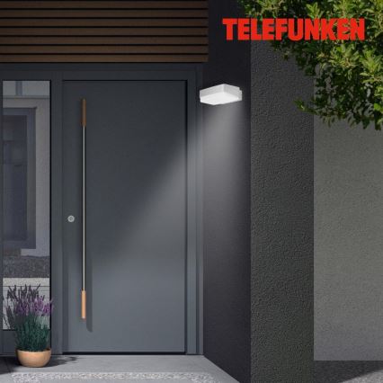 Telefunken 312204TF - LED Āra sienas lampa LED/14W/230V IP44
