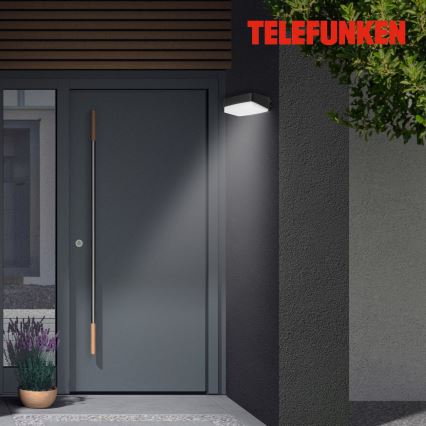 Telefunken 312205TF - LED Āra sienas lampa LED/14W/230V IP44