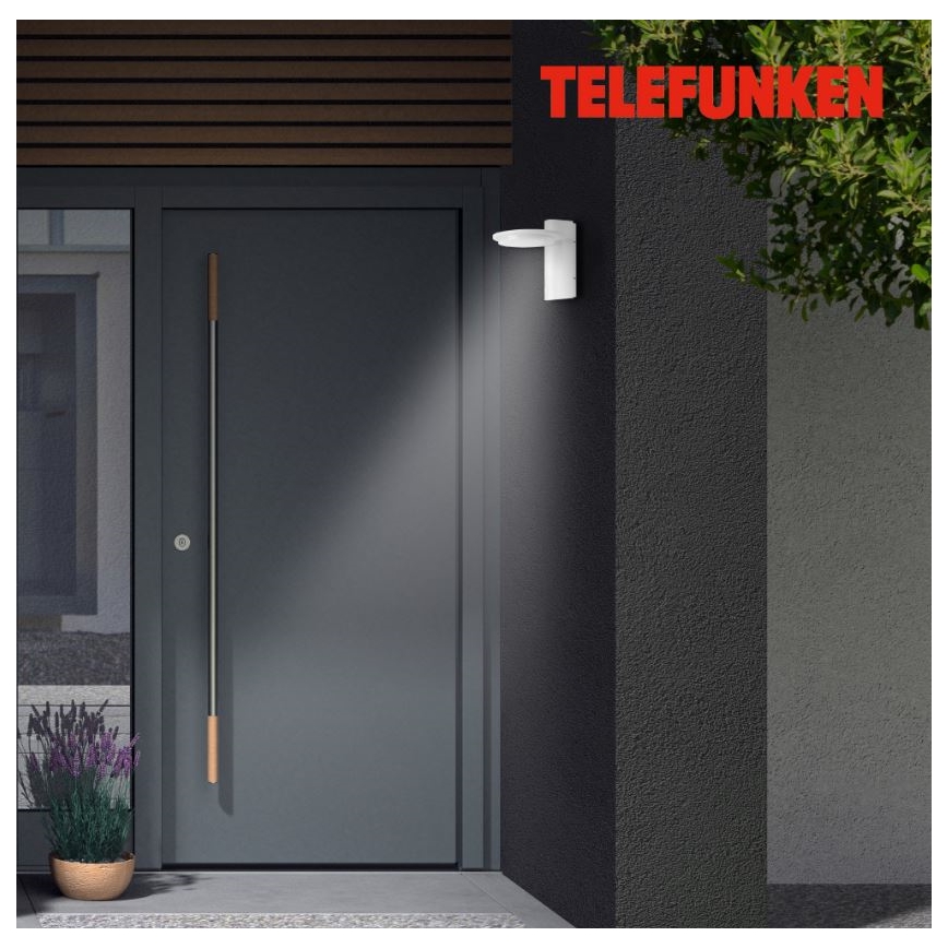 Telefunken 312406TF - LED Āra sienas lampa LED/10W/230V IP44