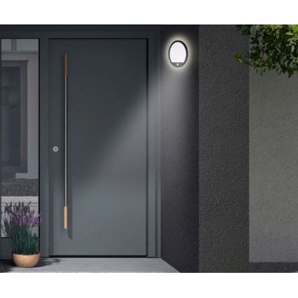 Telefunken 313705TF - LED Āra sienas lampa ar sensoru LED/15W/230V IP44
