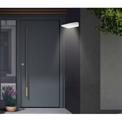 Telefunken - LED āra sienas gaismeklis LED/10W/230V IP44 balts