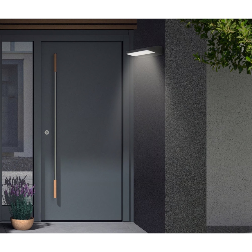 Telefunken - LED āra sienas gaismeklis LED/10W/230V IP44 melns