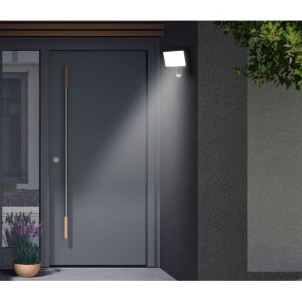 Telefunken - LED prožektors ar sensoru LED/20W/230V