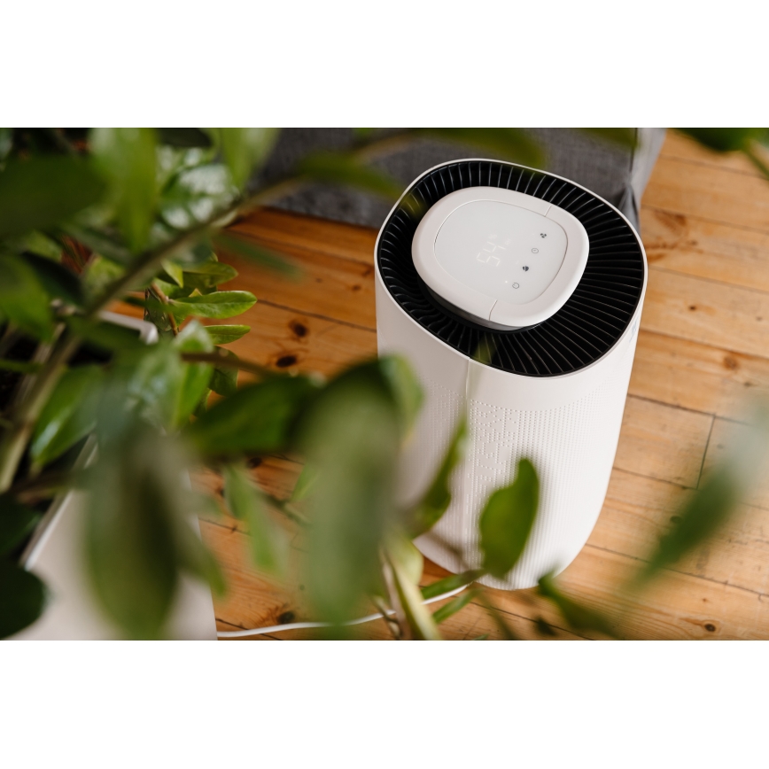 TESLA Smart - Viedais mitruma savācējs 158W/230V 3200 ml Wi-Fi