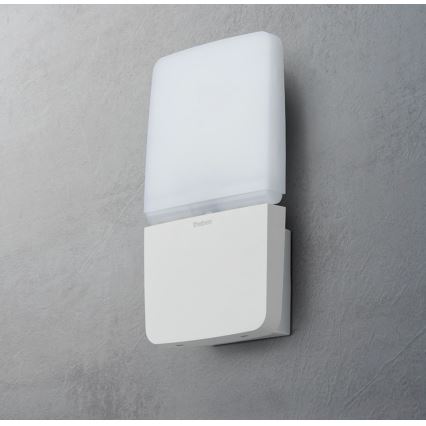 theben - LED sienas prožektors LED/11W/230V balts IP55