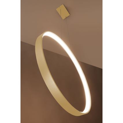 Thoro TH.175 - LED Lustra ar auklu RIO LED/50W/230V CRI 90 3000K d. 78 cm zelta