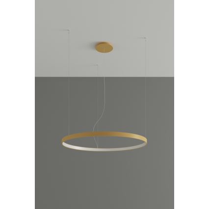 Thoro TH.181 - LED  Lustra ar auklu RIO LED /50W/230V CRI 95 4000K d. 78 cm zelta