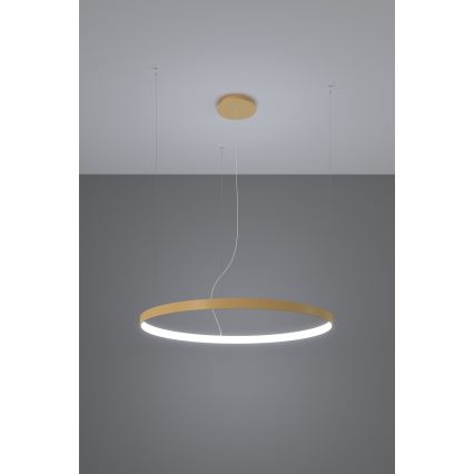 Thoro TH.181 - LED  Lustra ar auklu RIO LED /50W/230V CRI 95 4000K d. 78 cm zelta