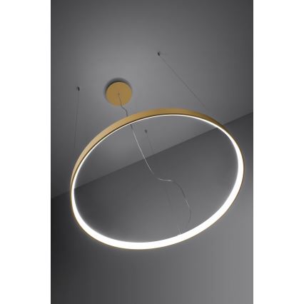 Thoro TH.181 - LED  Lustra ar auklu RIO LED /50W/230V CRI 95 4000K d. 78 cm zelta