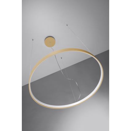 Thoro TH.216 - LED Lustra ar auklu RIO LED/30W/230V CRI 90 3000K d. 55 cm zelta