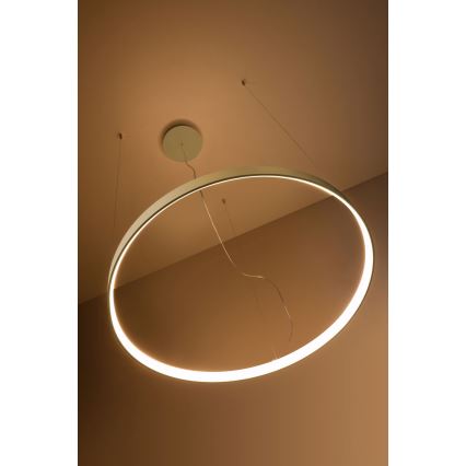 Thoro TH.216 - LED Lustra ar auklu RIO LED/30W/230V CRI 90 3000K d. 55 cm zelta