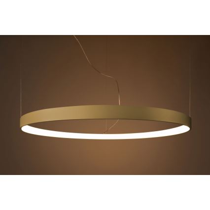 Thoro TH.216 - LED Lustra ar auklu RIO LED/30W/230V CRI 90 3000K d. 55 cm zelta