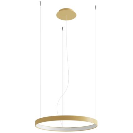 Thoro TH.216 - LED Lustra ar auklu RIO LED/30W/230V CRI 90 3000K d. 55 cm zelta