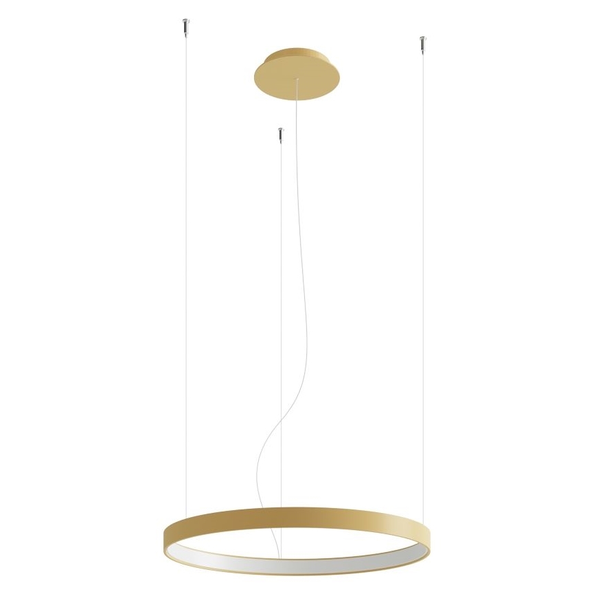 Thoro TH.216 - LED Lustra ar auklu RIO LED/30W/230V CRI 90 3000K d. 55 cm zelta