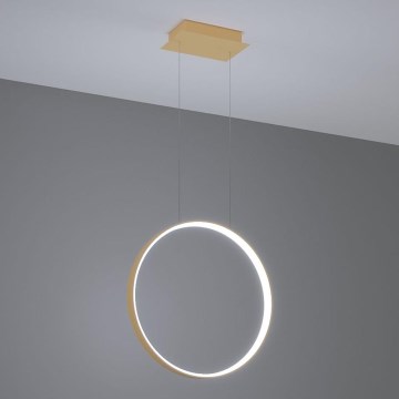 Thoro TH.221 - LED Lustra ar auklu RIO LED/30W/230V CRI 95 4000K d. 55 cm zelta