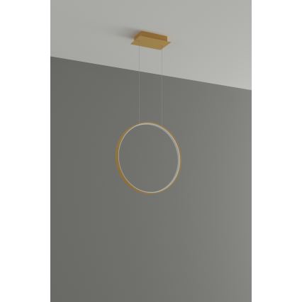 Thoro TH.221 - LED Lustra ar auklu RIO LED/30W/230V CRI 95 4000K d. 55 cm zelta