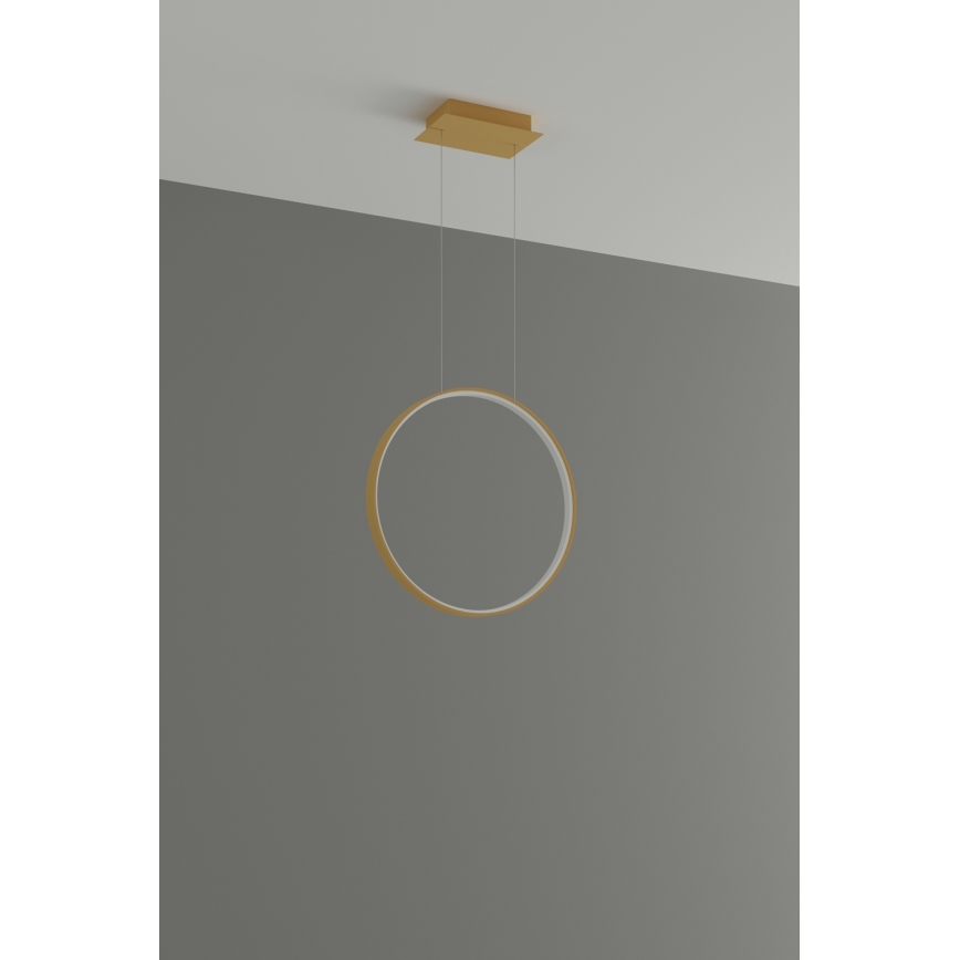 Thoro TH.221 - LED Lustra ar auklu RIO LED/30W/230V CRI 95 4000K d. 55 cm zelta