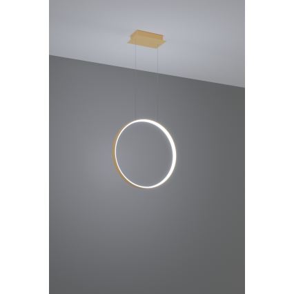 Thoro TH.221 - LED Lustra ar auklu RIO LED/30W/230V CRI 95 4000K d. 55 cm zelta