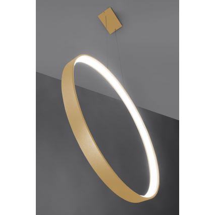 Thoro TH.221 - LED Lustra ar auklu RIO LED/30W/230V CRI 95 4000K d. 55 cm zelta