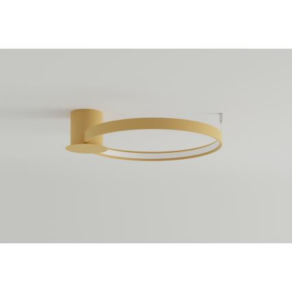 Thoro TH.222 - LED Griestu lampa RIO LED/30W/230V CRI 90 3000K d. 55 cm zelta