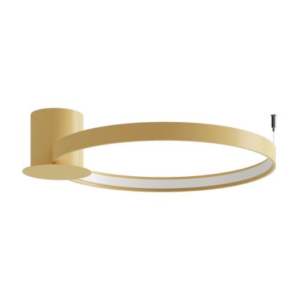 Thoro TH.222 - LED Griestu lampa RIO LED/30W/230V CRI 90 3000K d. 55 cm zelta