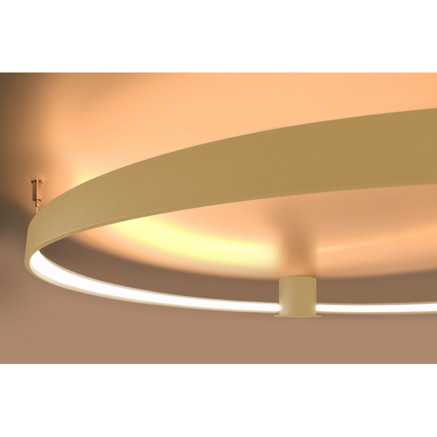 Thoro TH.222 - LED Griestu lampa RIO LED/30W/230V CRI 90 3000K d. 55 cm zelta