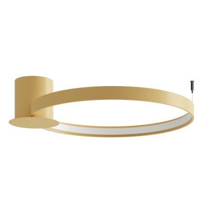 Thoro TH.223 - LED griestu gaismeklis RIO LED/30W/230V CRI 98 4000K Ø 55 cm zelta