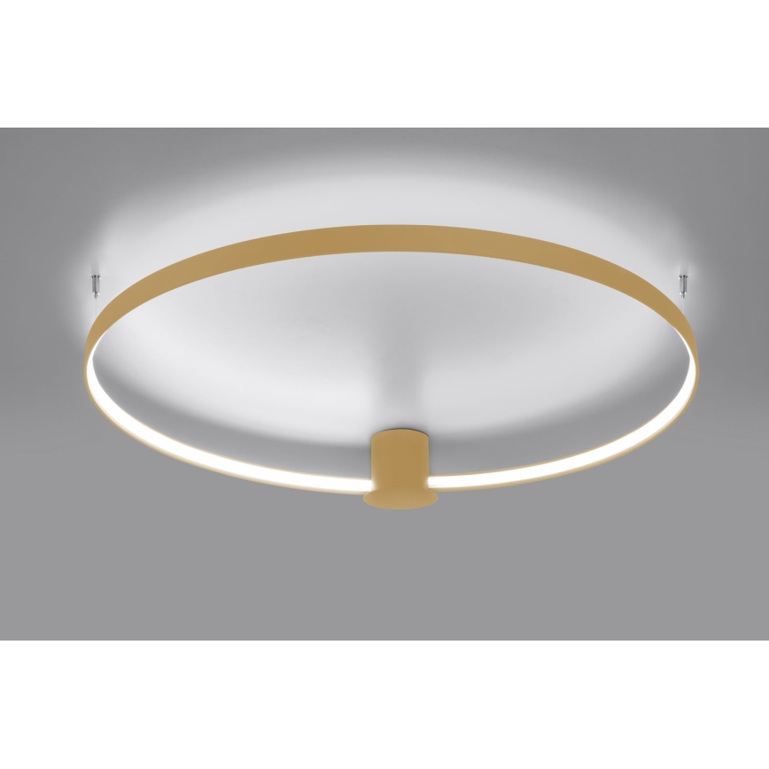 Thoro TH.223 - LED Griestu lampa RIO LED/30W/230V CRI 95 4000K d. 55 cm zelta