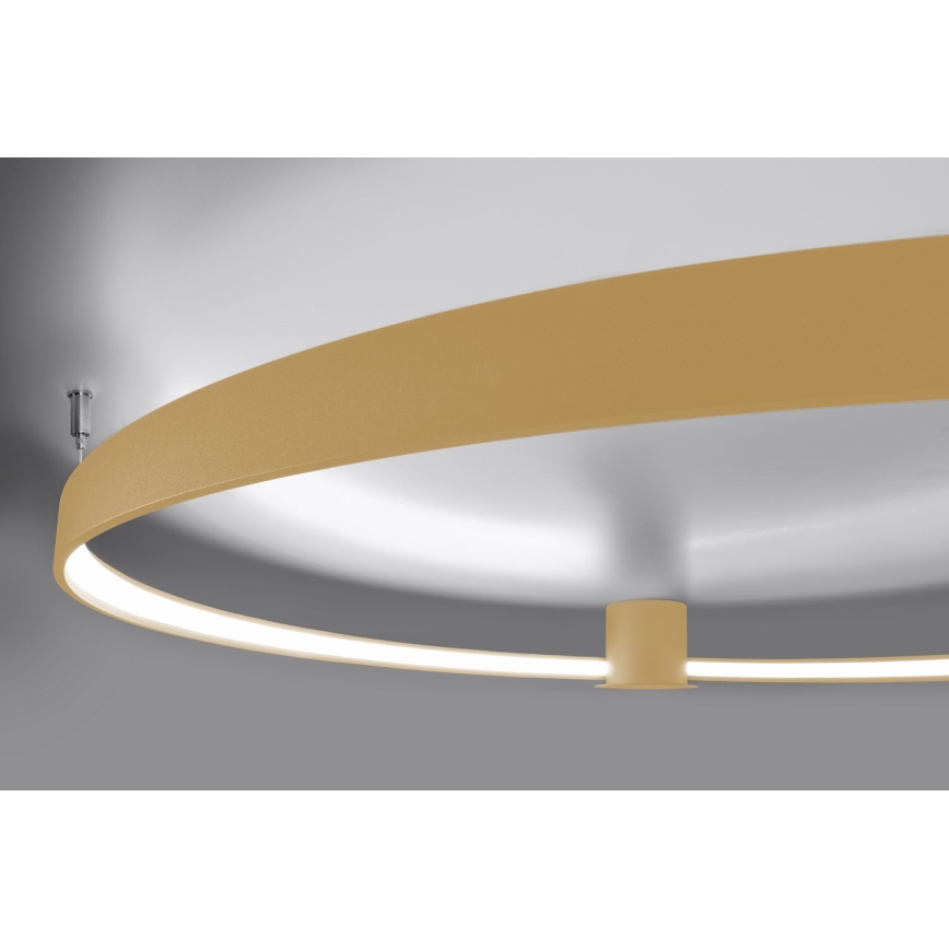 Thoro TH.223 - LED Griestu lampa RIO LED/30W/230V CRI 95 4000K d. 55 cm zelta