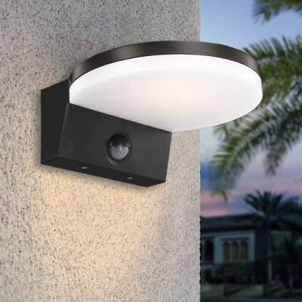 Top Lampa - LED Āra sienas lampa ar sensoru NOVARA LED/15W/230V IP65 melna