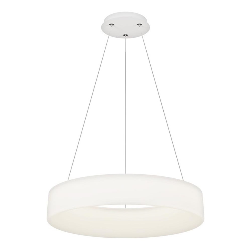 Top Light - HALO LED dimmējama pakaramā lustra uz troses LED/60W/230V 3000-6500K Ø 60 cm + tālvadības pults