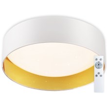 Top Light - LED Aptumšojama griestu lampa IVONA 40B TP LED/24W/230V + tālvadības pults balta