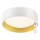 Top Light - LED Aptumšojama griestu lampa IVONA 40B TP LED/24W/230V + tālvadības pults balta
