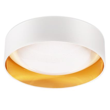 Top Light - LED Aptumšojama griestu lampa IVONA 40B TP LED/24W/230V + tālvadības pults balta