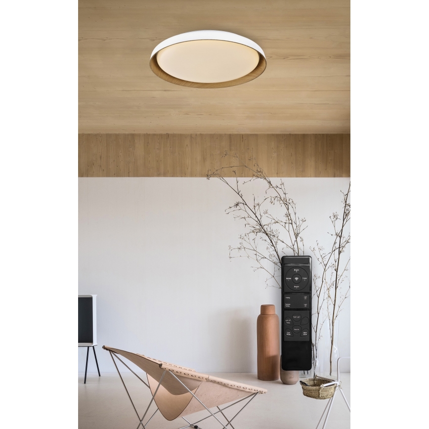 Top Light - LED Aptumšojama griestu lampa SATELLITE LED/48W/230V 3000-6500K d. 53 cm balta/brūna + tālvadības pults