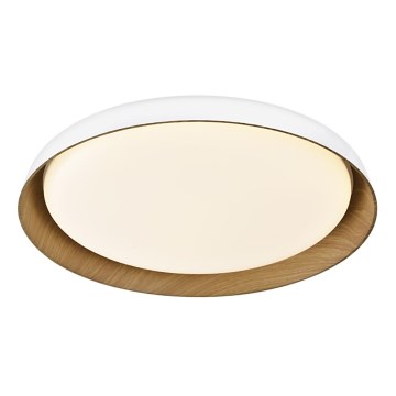 Top Light - LED Aptumšojama griestu lampa SATELLITE LED/48W/230V 3000-6500K d. 53 cm balta/brūna + tālvadības pults