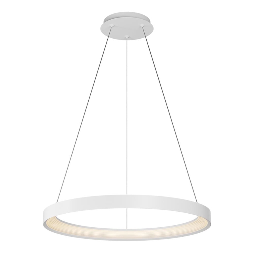 Top Light - LED Aptumšojama lustra ar auklu ORBIT LED/40W/230V 3000-6500K d. 50 cm balta + tālvadības pults