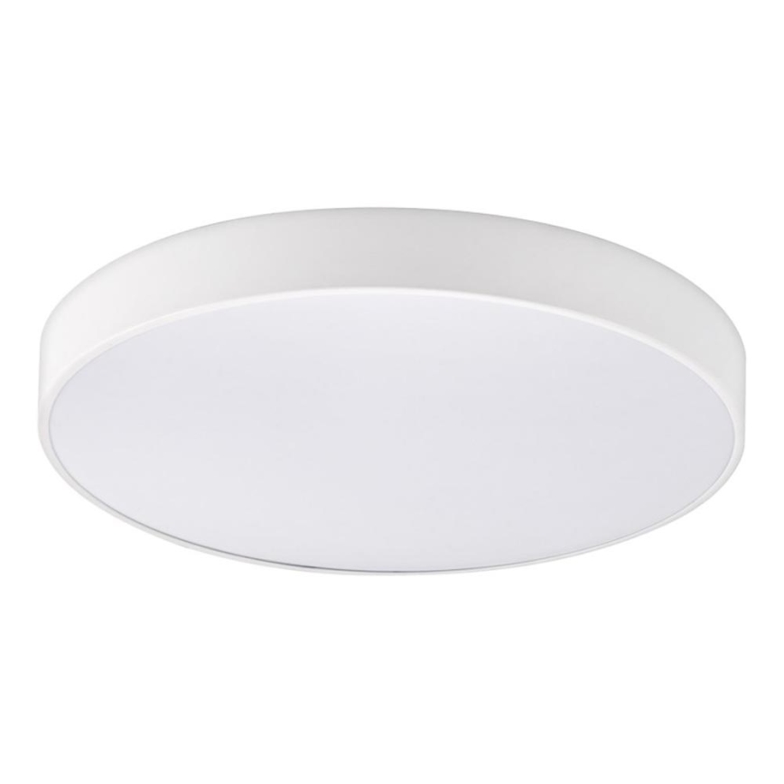Top Light - LED Aptumšojama vannas istabas griestu lampa PETAL LED/48W/230V IP44 3000-6500K d. 48 cm balta + tālvadības pults