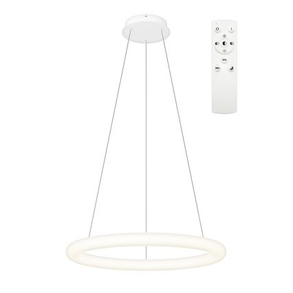 Top Light - LED regulējams lustrs uz kabeļa RINGO LED/40W/230V 3000-6500K balta + tālvadības pults