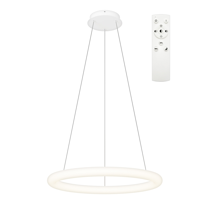 Top Light - LED regulējams lustrs uz kabeļa RINGO LED/40W/230V 3000-6500K balta + tālvadības pults