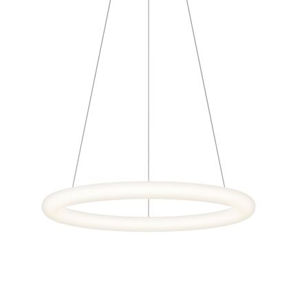 Top Light - LED regulējams lustrs uz kabeļa RINGO LED/40W/230V 3000-6500K balta + tālvadības pults