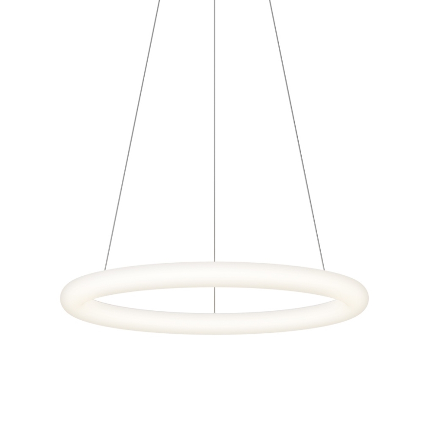 Top Light - LED regulējams lustrs uz kabeļa RINGO LED/40W/230V 3000-6500K balta + tālvadības pults