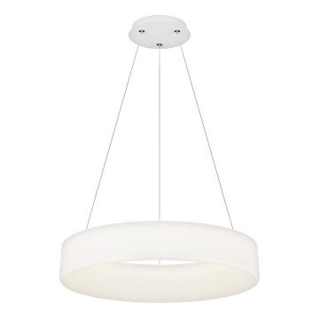Top Light - LED Dimējams Pendants Lāmpa HALO LED/60W/230V 3000-6500K diametrs 60 cm + attālinātā vadība