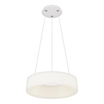 Top Light - LED Dimmas lampa uz ķēdes HALO LED/40W/230V 3000-6500K 44 cm + tālvadības pults