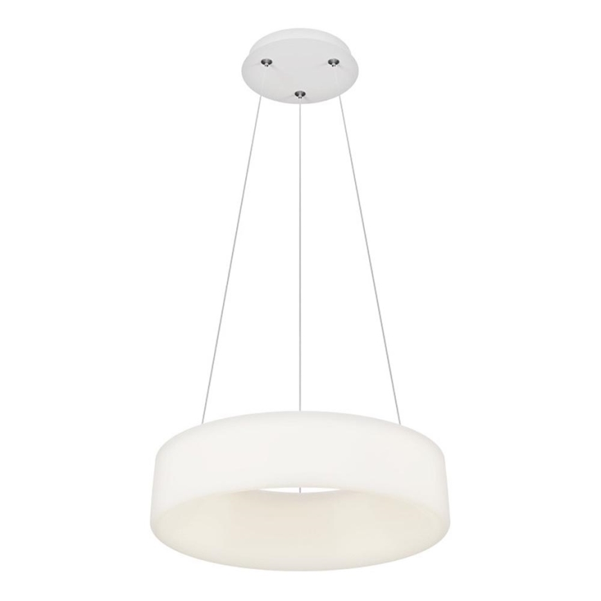Top Light - LED Gaismas piekare HALO LED/40W/230V 3000-6500K 44 cm + tālvadības pults